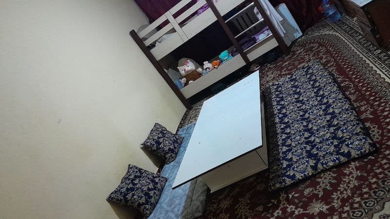 O‘qiydigan va ishlaydigan yaxshi qizlarga ijaraga kvartira.<