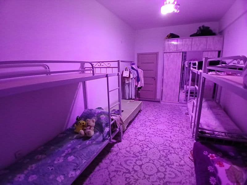 Uqiydigan yoki ishlaydigan qizlarni ijaraga quyamiz.Yangi qu — фото 3