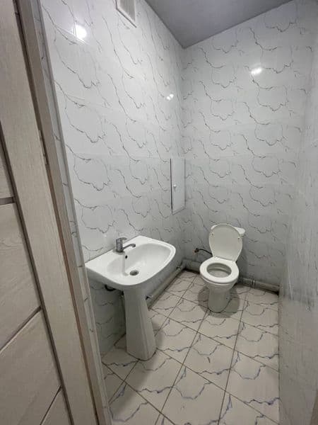 Sergeli yangi darxonda 2 metroga yaqin 800 mingdan 4 kiwi ol — фото 5