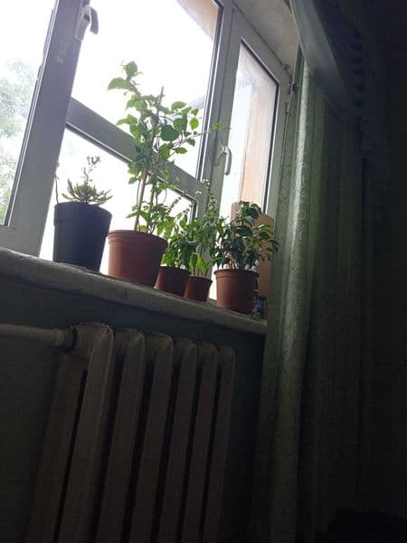 Угил болалар ни студентларни оламиз 1 хонага 4 киши одам бош — фото 3