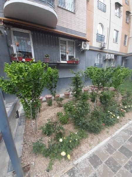 Uzoq muddatli ijaraga qoʻyiladi Oilaga! Manzil: Toshkent sha