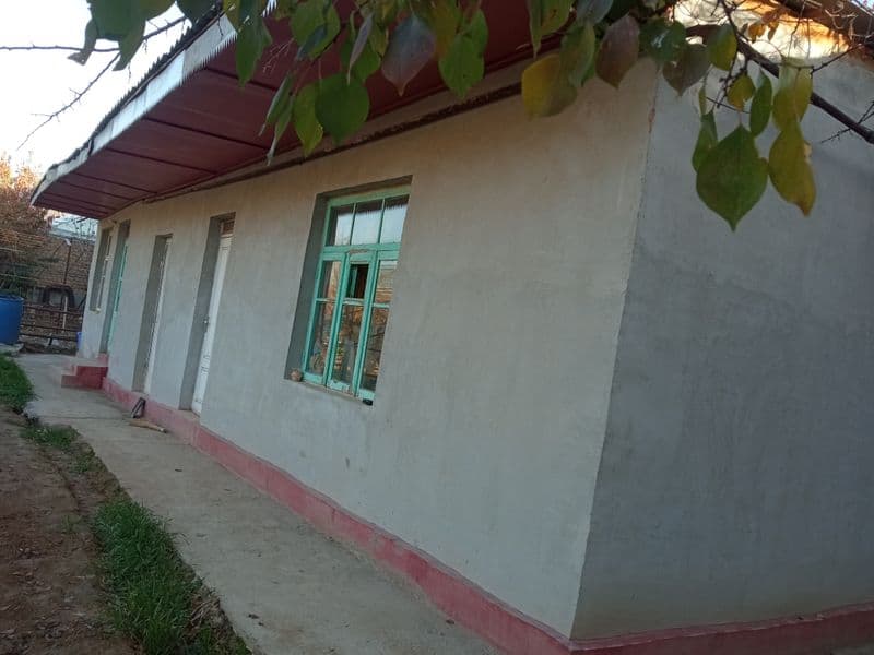 Киши бошига 800000<br />
Огил бола студентлага берилади, Алф — фото 2