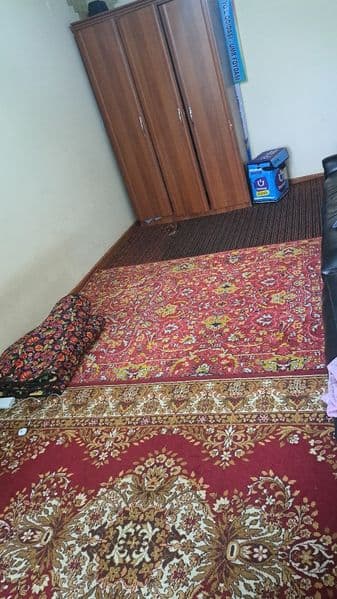 Ijara shartnoma qilib beriladi : Sutudentlar uchun 3 ta bola — фото 3