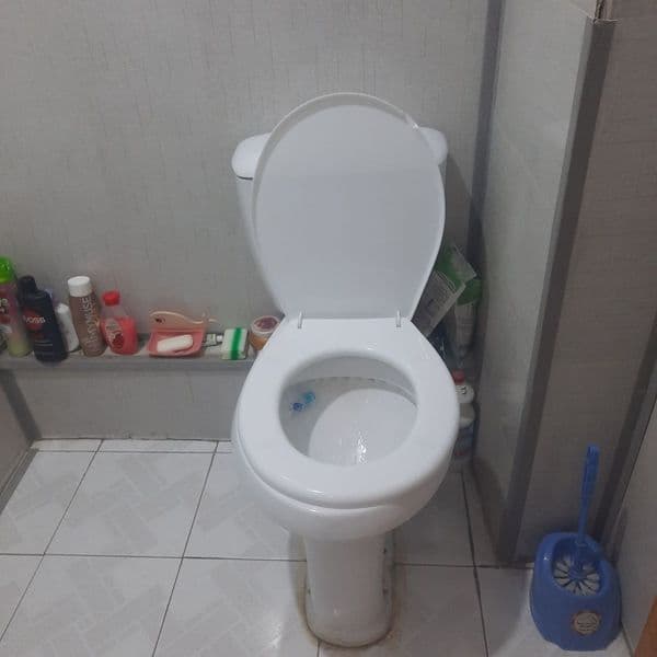 1/7/9<br />
Пустая квартира<br />
Кадышева<br />
250 <br />
 — фото 5