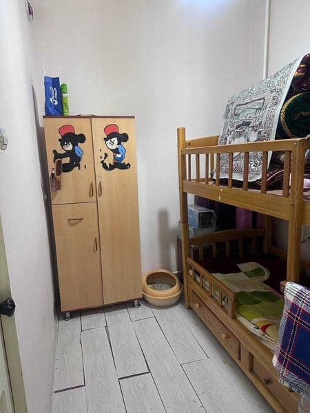 Mirzo Ulug’bek rayon lakamativ parkka yaqin madaniyat inisti — фото 2