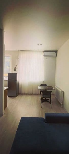 1 комнатная квартира студия в новостройке Династия (рядом с  — фото 4