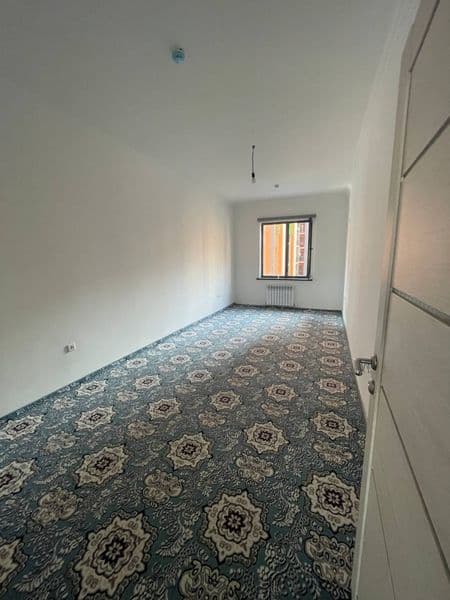 Sergeli yangi darxonda 2 metroga yaqin 800 mingdan 4 kiwi ol