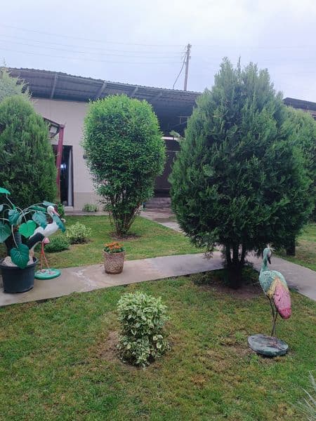 Сдаю с хозяином мужчинам  работающим в Ресторане , таксистам — фото 2