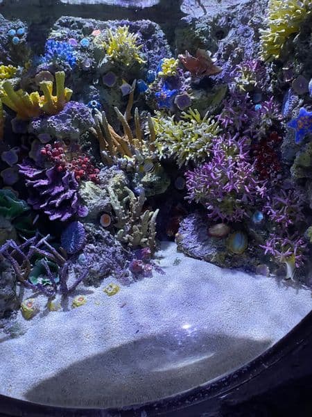 Сдаётся комната ‼️для девушки в двухкомнатной квартире.  Без