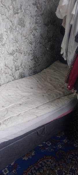 3хонали квартирамга 1та ёки 2та киз бола ёки аёл киши куймок — фото 3