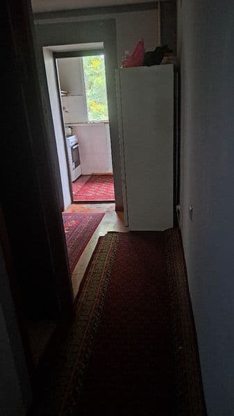 Ijara shartnoma qilib beriladi : Sutudentlar uchun 3 ta bola — фото 5