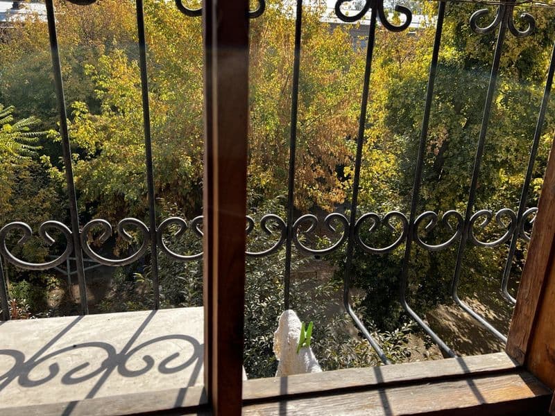 Esli xushli  oqiydigan ishliydigan qizla olinadi bez makler  — фото 5