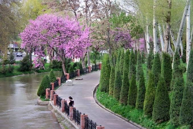 Сдается в аренду квартира,по улице Навои, вдоль реки Анхора,