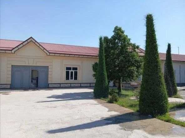 Mirzo Ulugʻbek tumani Chimgan Eko bozorni orqasidan bollarga — фото 2
