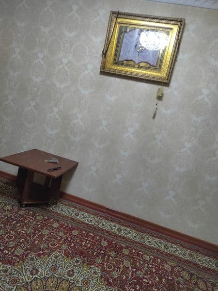 Коракамиш 2/4 тансикбой бозорчани олдида,тоза яшайдиган кизл — фото 3