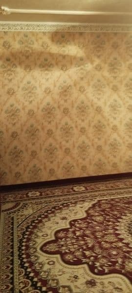 Talaba va ishchi ayollaga kvartira bor<br />
Sharoiti yaxshi — фото 3