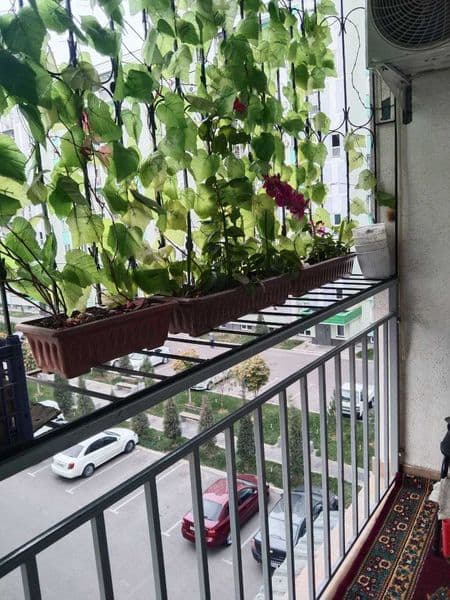 сдам  квартиру в центре по улице махтумкули грин парк. очень