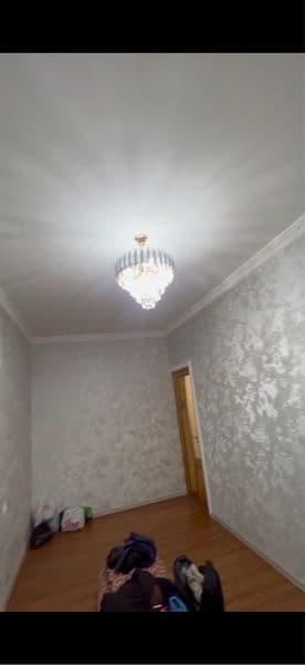 Sheriklikka chilonzor 20 kvartil 4 ta bola olinadi 1 miliond