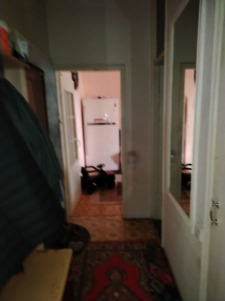 Mirzo Ulug'bek tumani Boz 1 uy ozimiziki maklerla bezovta qm — фото 5