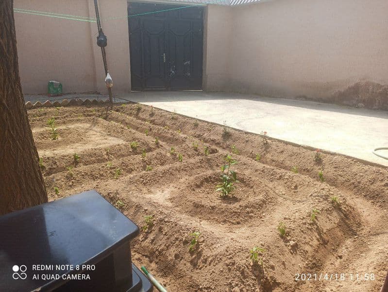 Юнусобод тумани Бодомзор махалласи Минг крик кучаси<br />
3  — фото 2