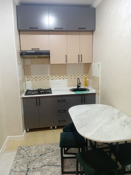 Квартира с евроремонтом с мебель техникой своя квартира — фото 3