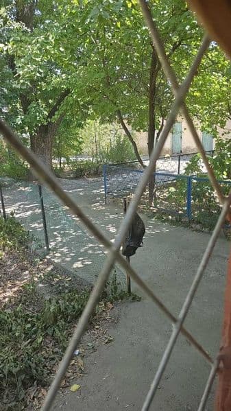 Квартира 2 комн на 1м этаже сдается в аренду.  Ориентир парк — фото 5