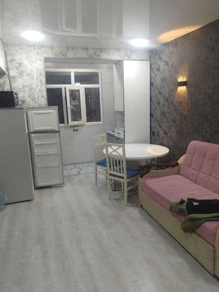 Аренда квартиры <br />
Буз-2,  1/2/4 с ремонтом, 25м² <br /> — фото 2
