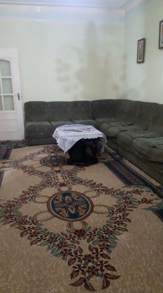 Квартира чистая <br />
Всё необходимое для проживания есть <