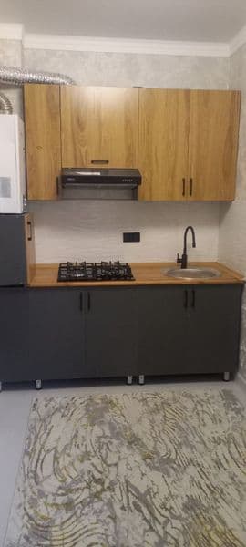 АРЕНДА!!!  СЕРГЕЛИ  ЭЗГУ РЕЗИДЕНТ.  ор-р метро  2я  станция 