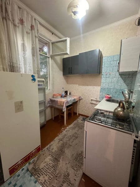 Максим горький <br />
Художник <br />
2 комнатный <br />
2 е — фото 3