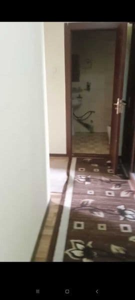 Кукча Гулзор ориентир яхши инсонларга берилади 773555692 — фото 3