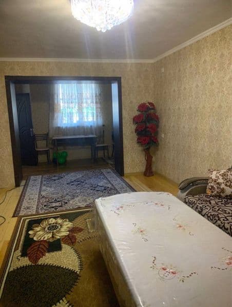 Квартирага битта ёш қиз керак. Уйда ҳамма шарт-шароитлар бор — фото 3