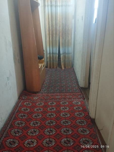 Bodomzor metroga 10 minutlik yo'l peshkom yurganda bodomzor 