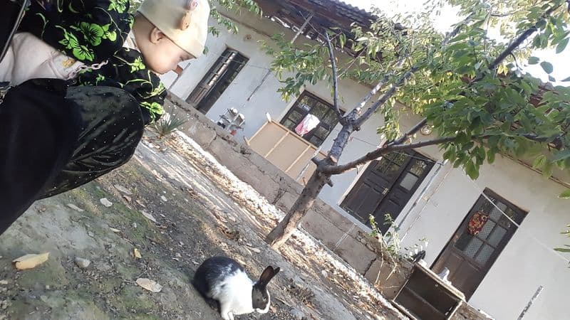 Assalomu alaykum hurmatli qizlajonla arzon narxlarda ijaraga — фото 3