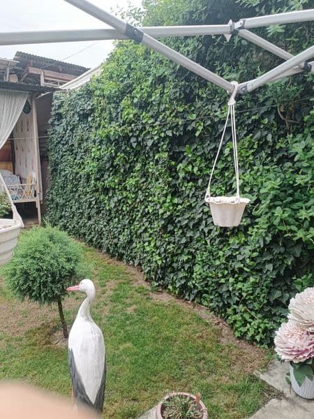 Сдаю с хозяином мужчинам  работающим в Ресторане , таксистам — фото 5