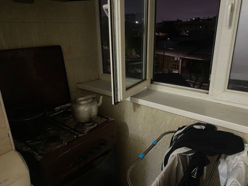 Shayhontoxur tumanidan tinchlik metro yaqinida bollarga sher