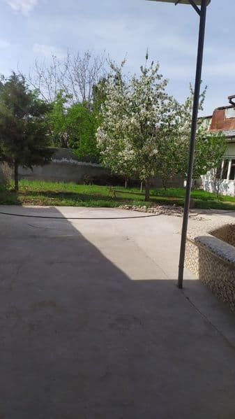 #Тошкент туман<br />
#Целий<br />
Тошкент тумани Toshmining  — фото 3