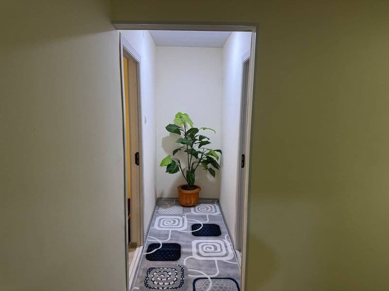 Atrof tinch qoʻshnilar yaxshi 1xona 4etaj 9etajli 300$ oilag