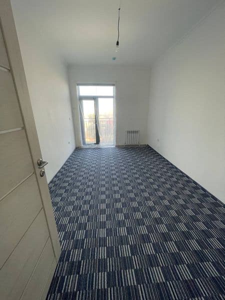 Sergeli yangi darxonda 2 metroga yaqin 800 mingdan 4 kiwi ol — фото 2