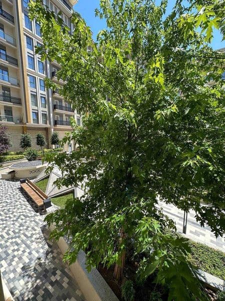 АРЕНДА КВАРТИРЫ!<br />
<br />
Район:Мирзо Улугбекский район< — фото 5