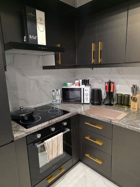 Аренда 2/7/8 Алайский<br />
42 КВ евро<br />
2 месяца предоп — фото 4