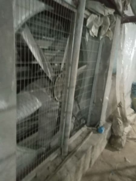 Выдается в аренду теплица в аргине <br />
За 300$<br />
Теле