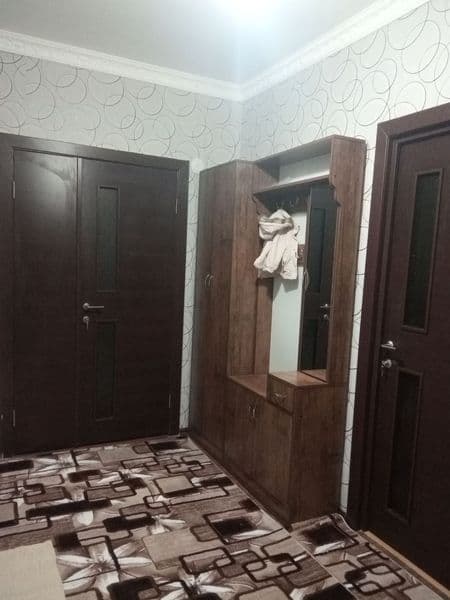 Aqilli qizlarga o'qiydigan iwlidigan qizlar olinadi Kiwi bow