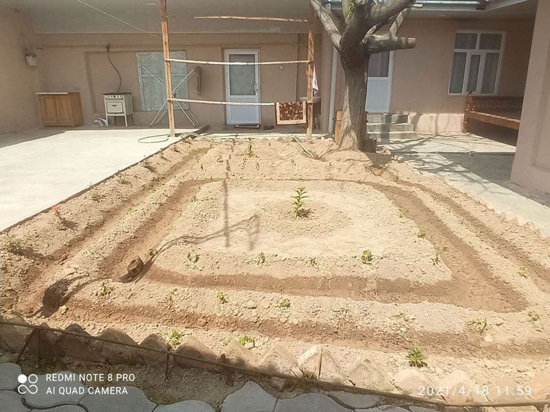 Юнусобод тумани Бодомзор махалласи Минг крик кучаси<br />
3  — фото 4