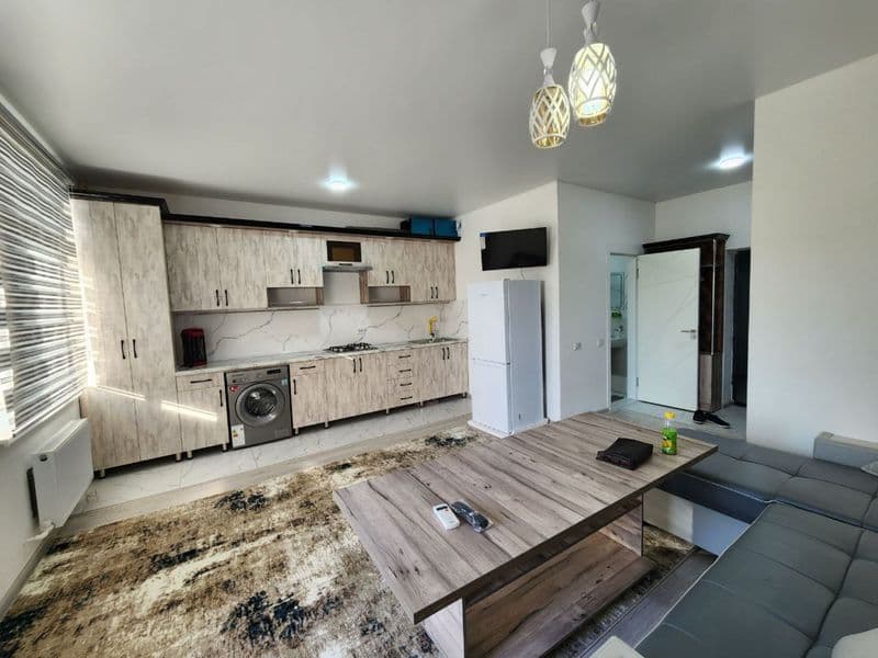 Паркенский 3/5/9 паркете Плаза. С мебелью с техникой — фото 2