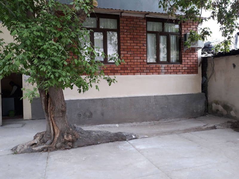 Своя в центре Ц 5  Орентир НОВИКОВ ресторан для добропорядоч