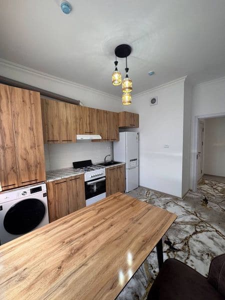 Аренда <br />
Сергили (Сокин макон)<br />
2/3/16. Навастройк — фото 2