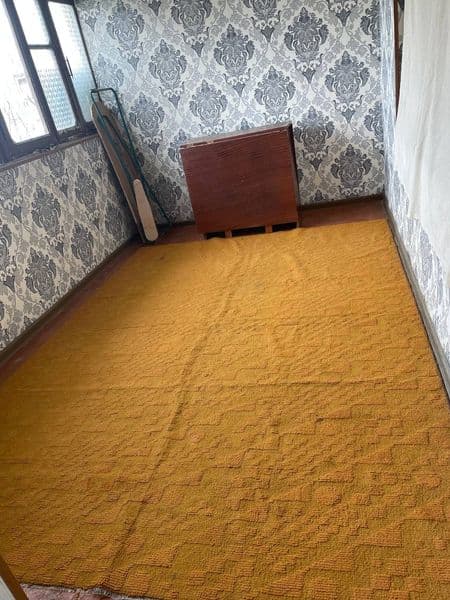 Арендага 3.хонали уй коракамиш 1/3 сой буйи берилади оилага  — фото 4