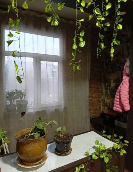 Аренда 2-х комнатная квартира Сергели 2.<br />
Ориентир Гумм — фото 2