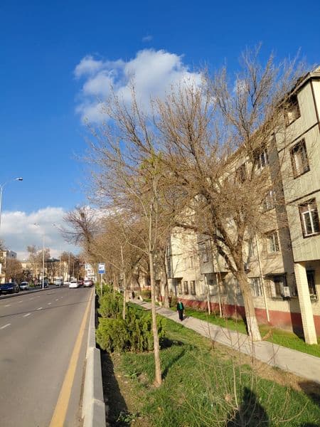 Аренда Квартиры-Ит Парк рядом <br />
3- комнатная <br />
2-э — фото 2